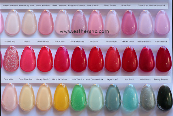 dnc nail polish color chart