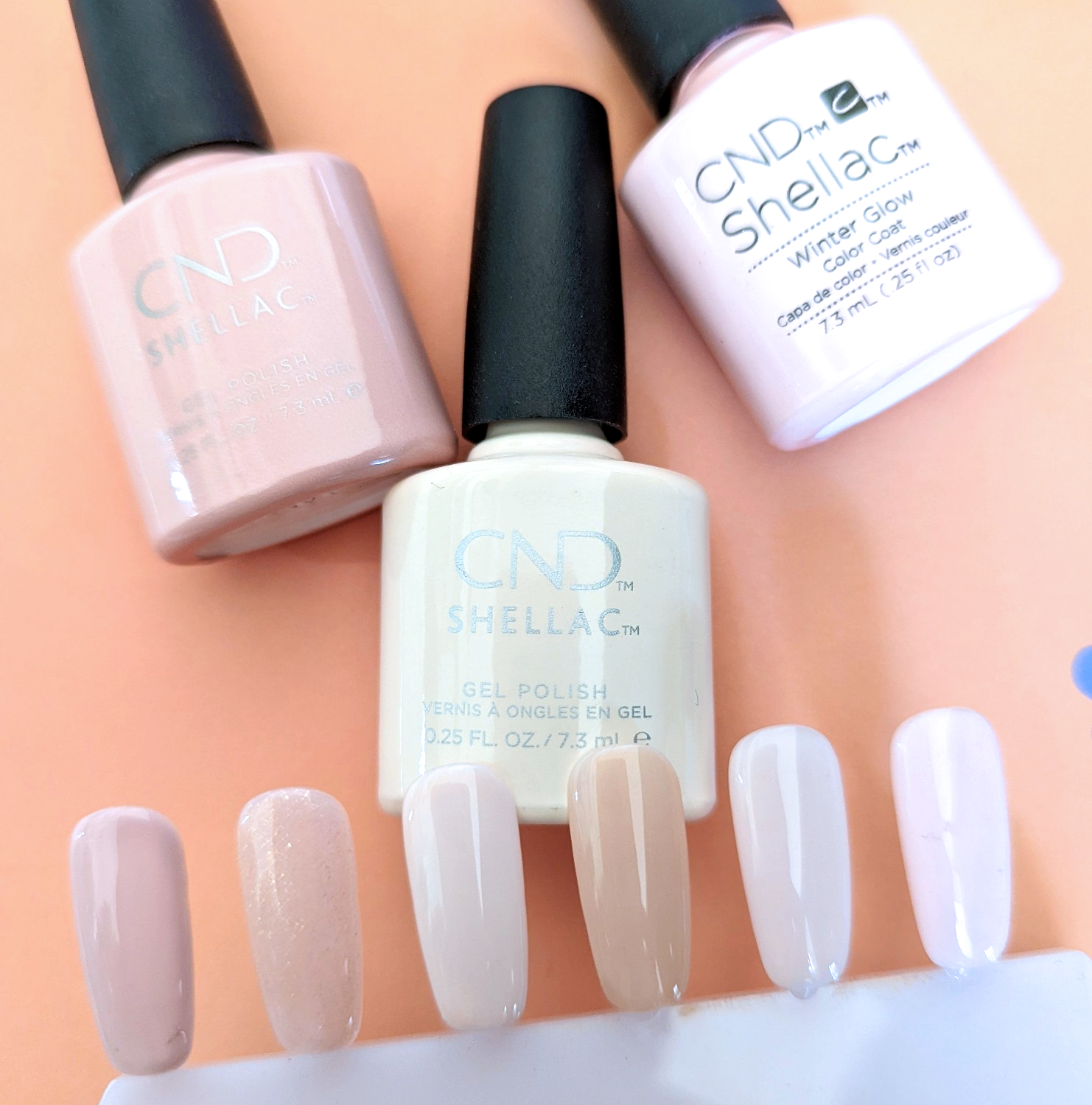 Buy Daisy DND Collection Nail Color Swatches 5-8, Gel Polish Colors (with  Bonus Side Glitter) Colour Swatch Palette Display Tools 546-710 (Swatch  5-8) Color Chart Sheet Sample Online at desertcartINDIA